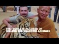 Thailand's Tiger Temple Raid