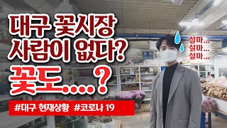 대구 꽃시장 꽃집 실제 상황 플로리스트 일상 vlog