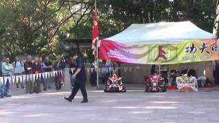 香江武術會功夫閣   北少林門陳永謙師傅表演短打少林拳  2/4/2017