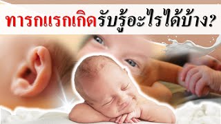 พัฒนาการทารก : ทารกแรกเกิดรับรู้อะไรได้บ้าง? | พัฒนาการเด็กแรกเกิด | เด็กทารก Everything