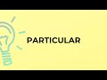 What is the meaning of the word PARTICULAR?