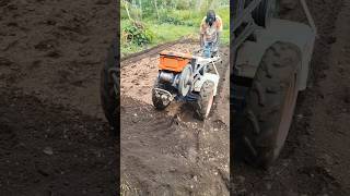 Plowing chicken manure into the soil with a Hand Tractor Power Tiller