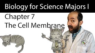 Chapter 7 – Membrane Structure and Function