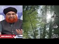 shadi biha pr pasy kharch karna ~ mufti muhammad akmal. aryqtv duet quran bayan muftiakmal ilm