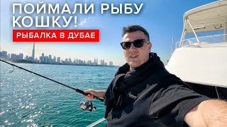 ПОЙМАЛИ РЫБУ КОШКУ! Рыбалка в Дубае, Adidas Y-3 | Влог