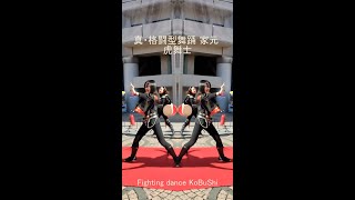 Fighting dance KoBuShi 2