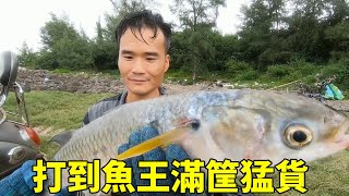 阿鋒潜海打到魚王，一斤40太過癮，滿筐猛貨樂開花【探海漁人】