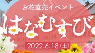 緊張と興奮で寝れません　はなむすび2022の前夜