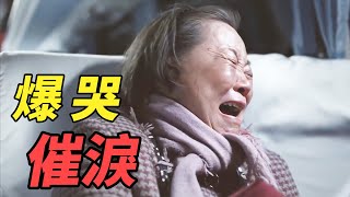 【貂小嬋】真人真事改編！瘋狂奶奶獨自從河南白嫖到上海，背後故事看哭數萬人