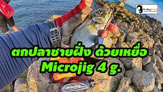 Mr.BoyCraft ตกปลาชายฝั่งด้วยเหยื่อ ไมโครจิ๊ก 4 กรัม [Shore Game from Microjig]