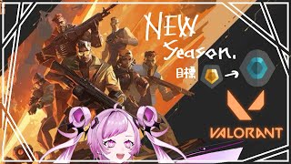 【 #valorant 】本日はソロで皆様に成長をお届け【#vtuber #vstreamer #鍵璃ない 】