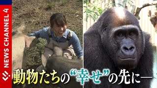 【CH.X #7】“動物福祉”で変わる動物園・畜産業…動物たちを取り巻く価値観の変化とは＜NEWS CH.4＞