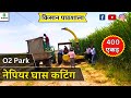 O2 Park, Napier Farming, किसान पाठशाला FARMER SCHOOL