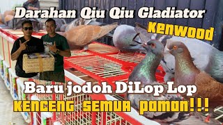 🔴 GREBEKKK ❗KANDANG PENJELAJAH MUTIARA YODAN99 PKL PAMAN ❗ISTIMEWAH BANYAK MUTIARANYA‼️