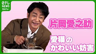 片岡愛之助が思わず笑顔「台本見えへんやないか」　困ってしまう愛猫のかわいい妨害