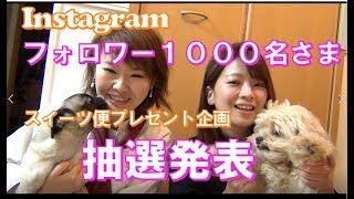 【当選発表】Instagramフォロワー１０００名さま★スイーツ便プレゼント企画、ご参加ありがとうございます★