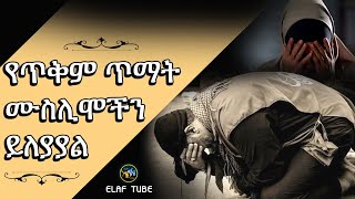 የጥቅም ጥማት ሙስሊሞችን ይለያያል || ELAF TUBE ኢላፍ ቲዩብ