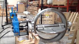 Butterfly valve (48\