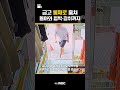 shorts 제보issue 금고 훔치고 뻔뻔하게 세 차례나 방문한 강도