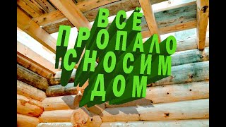 Стоит ли сносить дом , из за плесени ? Плесень в дереве , как с ней бороться .