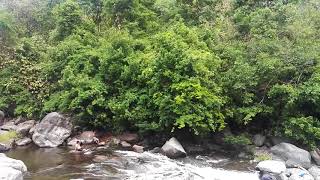 Mannarkkad water falls