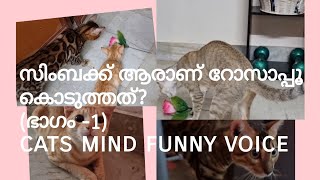 സിംബക്ക് ആരാണ് റോസാപ്പൂ കൊടുത്തത്? (ഭാഗം -1) cats mind funny voice