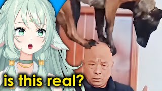 Impressive and Concerning Moments | UNUSUAL MEMES v300 React