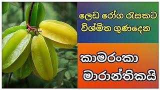 කාමරංකා මාරාන්තිකයි ද? | විශ්මිත ගුණ ඇති කාමරංකා පළතුරේ ගුණ අගුණ හරියට  | කාබරංගා | star fruit