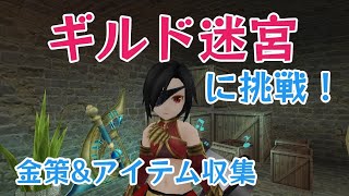 【トーラム】ギルド迷宮に挑戦！