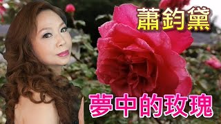 蕭鈞黛  51.夢中的玫瑰{翻唱) {東南西北  演唱錄影)外景拍攝地 (台北士林官邸)