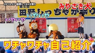 【みやざき犬】ワチャワチャ自己紹介：可愛いリーダー争い。でも１番は譲れないらしい (201907田野しっちゃが祭り)