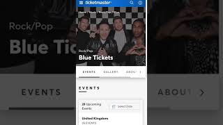 I Wish I'd Known This Sooner About Accessible Concert Tickets!