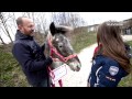 april april tierischer zuwachs für das team von equestrian worldwide eqwotv