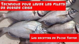 technique pour lever les filets dorade grise