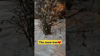 The snow tree❤#snowy #ice #freezing #cold@JhacartaVlog#vitalsnow #trendingsnow