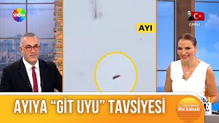 Rizeli vatandaştan ayıya tavsiye!