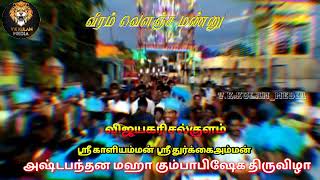 #festival#vijayakarisalkulam#V_K_kulam_media #விஜயகரிசல்குளம்