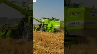 balkar 654 combine