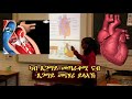 yosan wegihu the function of heart in human blood circulatory system presented by yosan wegihu