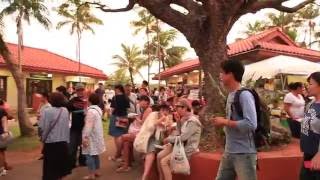 Chamorro Village Wednesday Night Market GUAM