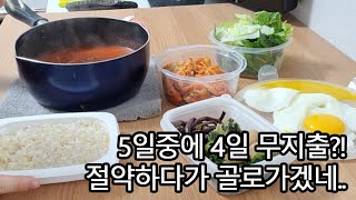 [절약vlog/가계부이로그] 5일중에 4일 무지출?!/식재료 싸게 사기/친구가 준 카스테라로 연명하기/집에서 혼자 보내는 사람의 일상