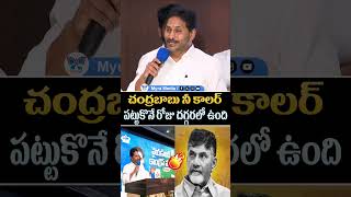 చంద్రబాబు నీ కాలర్ పట్టుకొనే రోజు దగ్గరలో ఉంది