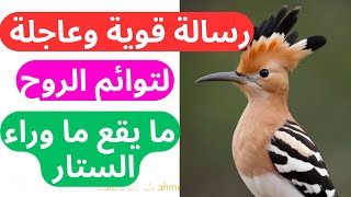 رسالة  قوية  مهمة جدا  لتوأم الروح وعاجلة 💯💯💚