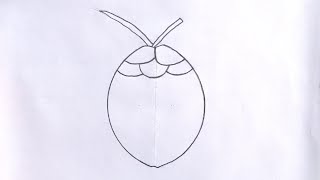 How to draw Coconut। Easy Coconut drawing। Step by step Coconut drawing