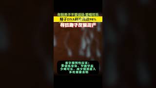 喝可乐会导致精子碎片率高 精子检查 可乐 硬核健康科普行动