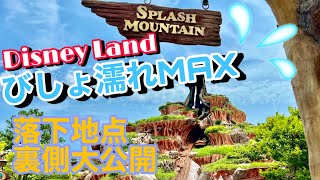 【裏側大公開！】スプラッシュマウンテン ”びしょ濡れMAXバージョン” | 東京ディズニーランド アトラクション