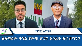 ለአማራው ትግል የውጭ ድጋፍ እንዴት እና በማን?