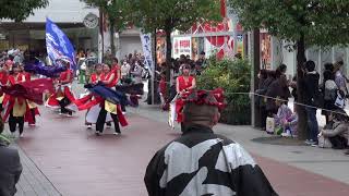 若狭鳴子連　希来里（四日市よさこい祭り2017）ふれあいモール会場