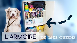 L'ARMOIRE DE MES CHIENS 🐶