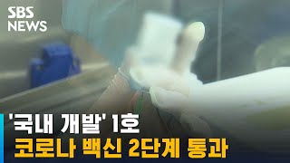 '국내 1호' 코로나 백신 2단계 통과…이번 주 최종 결론 / SBS